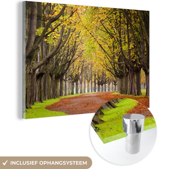 MuchoWow® Glasschilderij - Kastanjebomen tijdens de herfst - Acrylglas Schilderijen - Foto op Glas