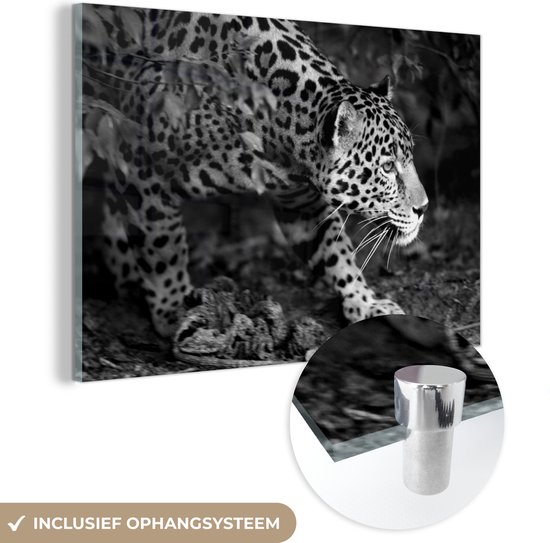 MuchoWow® Glasschilderij 30x20 cm - Schilderij acrylglas - Sluipende jaguar in bos - zwart wit - Foto op glas - Schilderijen