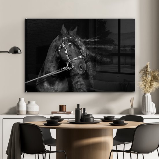 MuchoWow® Peinture sur Verre - Cheval - Licou - Crinière - 90x60 cm - Peintures sur Verre Acrylique - Photo sur Glas
