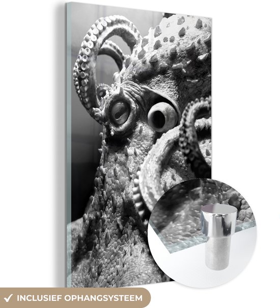 MuchoWow® Glasschilderij 80x120 cm - Schilderij acrylglas - Het hoofd van een octopus - zwart wit - Foto op glas - Schilderijen