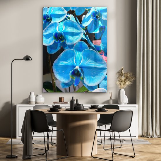 MuchoWow® Peinture sur Verre - Orchidées Bleues avec une couleur pénétrante - 90x120 cm - Peintures sur Verre Acrylique - Photo sur Glas