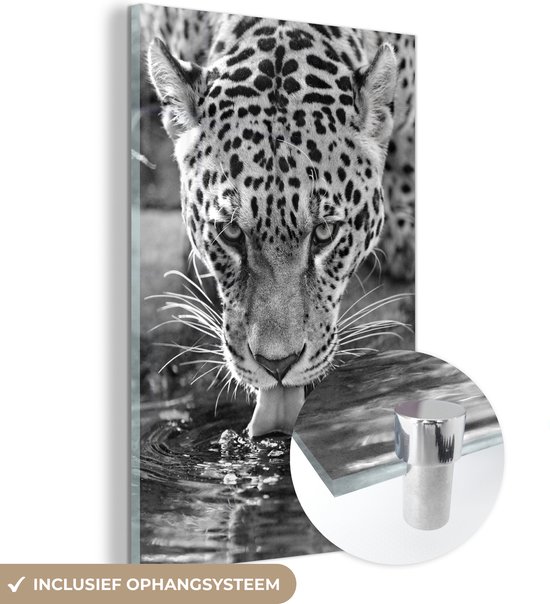 MuchoWow® Peinture sur Verre - Jaguar Buvant - noir et blanc - 60x90 cm - Peintures sur Verre Acrylique - Photo sur Glas