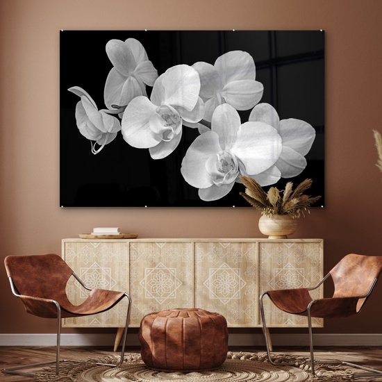 MuchoWow® Peinture sur Verre - Un gros plan d'orchidées sur fond noir - noir et blanc - 150x100 cm - Peintures sur Verre Acrylique - Photo sur Glas