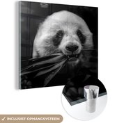 MuchoWow® Glasschilderij 20x20 cm - Schilderij acrylglas - Dieren - Panda - Jungle - Zwart - Wit - Foto op glas - Schilderijen