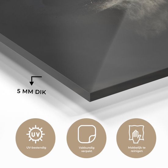 Peinture sur Verre - Loup - Clair - Sombre - 80x120 cm - Peintures sur Verre Peintures - Photo sur Glas