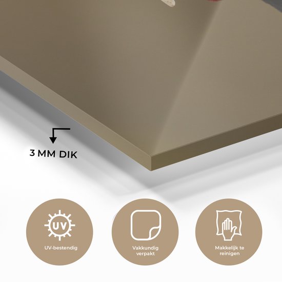 Un gros plan d'un faisan coloré en plexiglas 60x40 cm - Tirage photo sur Glas (décoration murale en plexiglas)