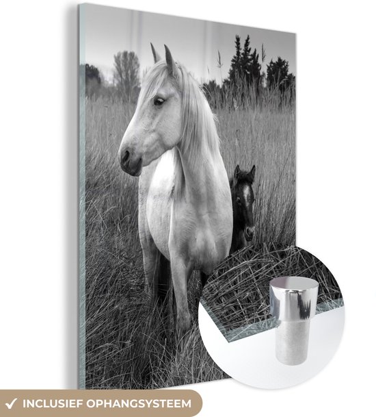 MuchoWow® Glasschilderij 60x80 cm - Schilderij acrylglas - Paard met veulen in Camargue - zwart wit - Foto op glas - Schilderijen