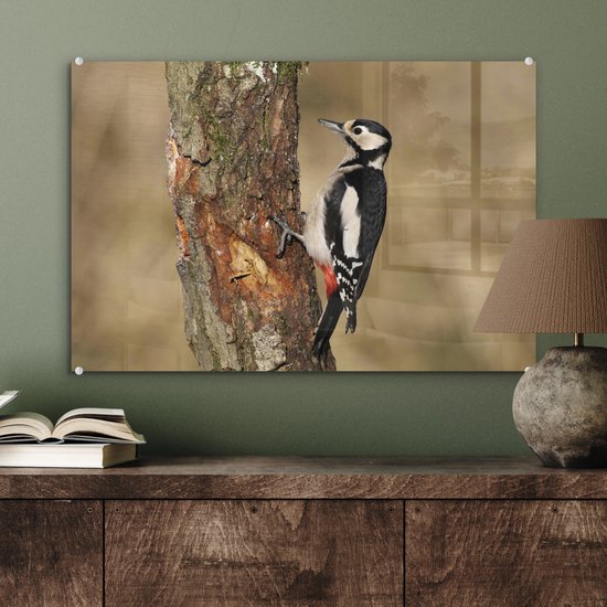 Un grand pic tacheté en automne Plexiglas 60x40 cm - Tirage photo sur Glas (décoration murale plexiglas)