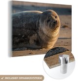 MuchoWow® Glasschilderij 90x60 cm - Schilderij acrylglas - Zeehond rust uit op strand - Foto op glas - Schilderijen