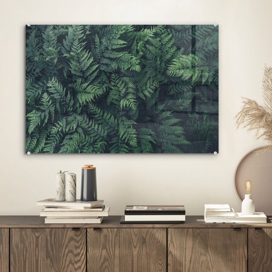 MuchoWow® Peinture sur verre 60x40 cm - Peinture sur verre acrylique - Vue de fougères vertes - Photo sur verre - Peintures