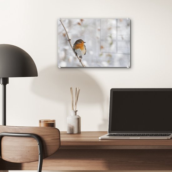 Robin sur une fine branche en plexiglas d'hiver 30x20 cm - petit - Tirage photo sur Glas (décoration murale en plexiglas)