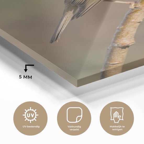 MuchoWow® Glasschilderij 60x80 cm - Schilderij acrylglas - Roodborstje - Vogel - Natuur - Foto op glas - Schilderijen