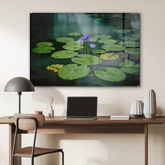 Peinture sur verre - Fleurs - Feuilles - Plus - 90x60 cm - Peintures Plexiglas