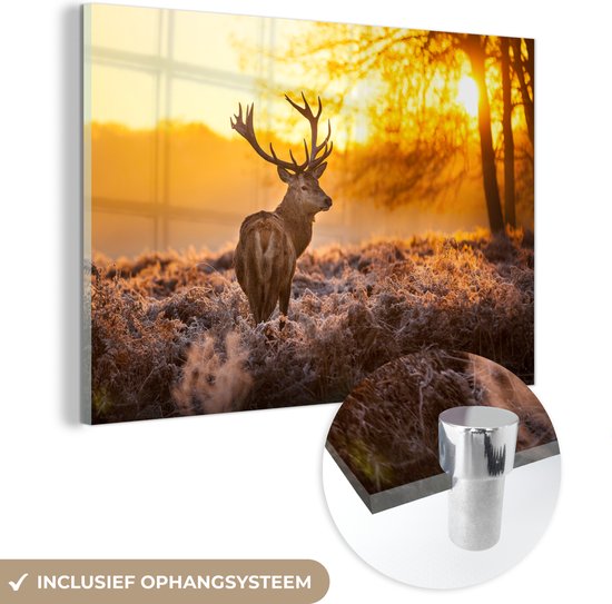 MuchoWow - Tableau sur toile Cerf - Hiver - Coucher de soleil