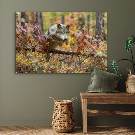 Peinture sur verre - Loup - Branche - Forêt - 120x80 cm - Peintures Plexiglas