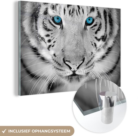 Peintures sur verre - Tigre - Tête - Nez - 180x120 cm - Peintures Plexiglas