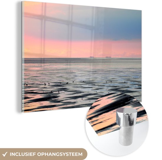 MuchoWow® Glasschilderij 150x100 cm - Schilderij acrylglas - Vogel - Zee - Wadden - Foto op glas - Schilderijen