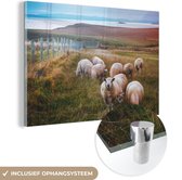 MuchoWow® Glasschilderij 180x120 cm - Schilderij acrylglas - Schaap - Landschap - Ierland - Foto op glas - Schilderijen