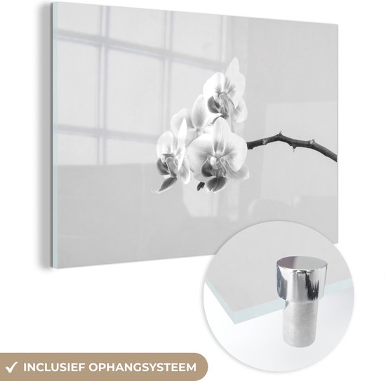 MuchoWow® Glasschilderij 120x80 cm - Schilderij acrylglas - Orchideeën aan een tak - zwart wit - Foto op glas - Schilderijen