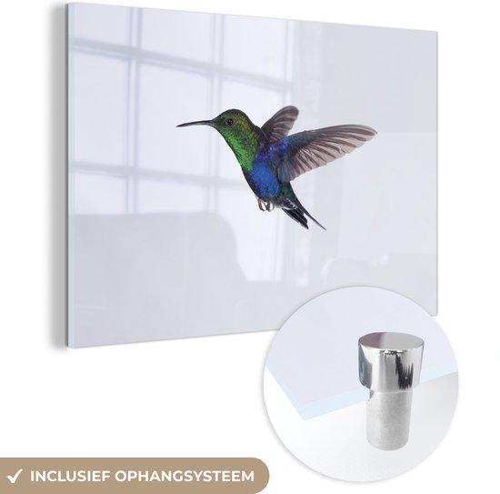MuchoWow® Glasschilderij 30x20 cm - Schilderij acrylglas - Vogels - Kolibrie - Groen - Blauw - Foto op glas - Schilderijen