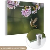 Colibri flottant sous les fleurs de cerisier Plexiglas 120x80 cm - Tirage photo sur Glas (décoration murale en plexiglas)