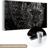 MuchoWow® Glasschilderij 120x60 cm - Schilderij acrylglas - Luipaard - Zwart - Wit - Foto op glas - Schilderijen