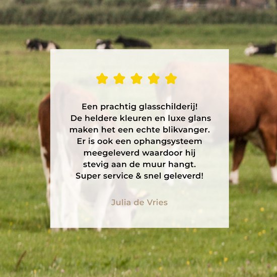 MuchoWow® Peinture sur verre - Vaches - Moulin - Nederland - 60x120 cm - Peintures sur verre acrylique - Photo sur Glas