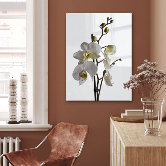 Peinture sur Verre - Orchidée Witte - 60x80 cm - Peintures sur Verre Peintures - Photo sur Glas