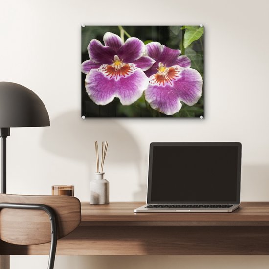 ® Glasschilderij 40x30 cm - Schilderij acrylglas - Wilde orchidee - Foto op glas - Muurdecoratie woonkamer - Wanddecoratie slaapkamer - Schilderijen