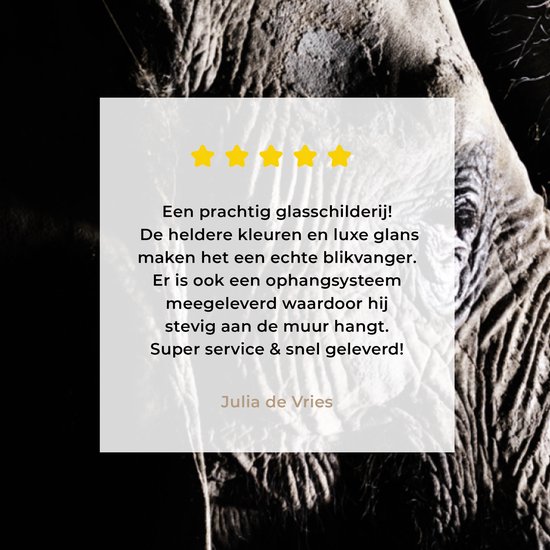 MuchoWow® Peinture sur verre 150x100 cm - Peinture sur verre acrylique - Éléphant - Zwart - Animaux - Nature - Photo sur verre - Peintures