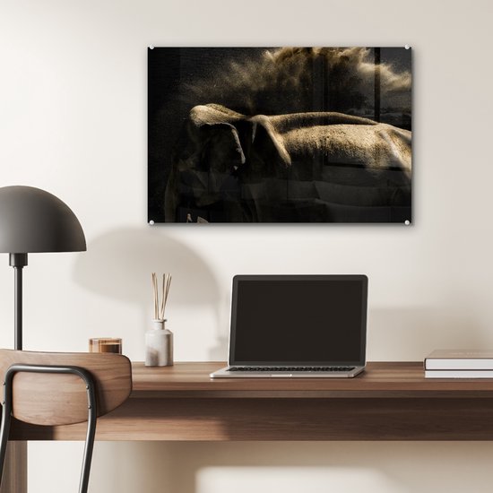 MuchoWow® Peinture sur verre 60x40 cm - Peinture sur verre acrylique - Éléphant - Boue - Animaux - Zwart - Photo sur verre - Peintures