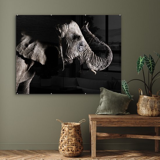 MuchoWow® Peinture sur verre - Éléphant - Zwart - Animaux - Nature - 120x90 cm - Peintures sur verre acrylique - Photo sur Glas