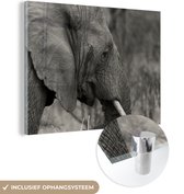 MuchoWow® Glasschilderij 160x120 cm - Schilderij acrylglas - Olifant - Dieren - Zwart - Wit - Foto op glas - Schilderijen