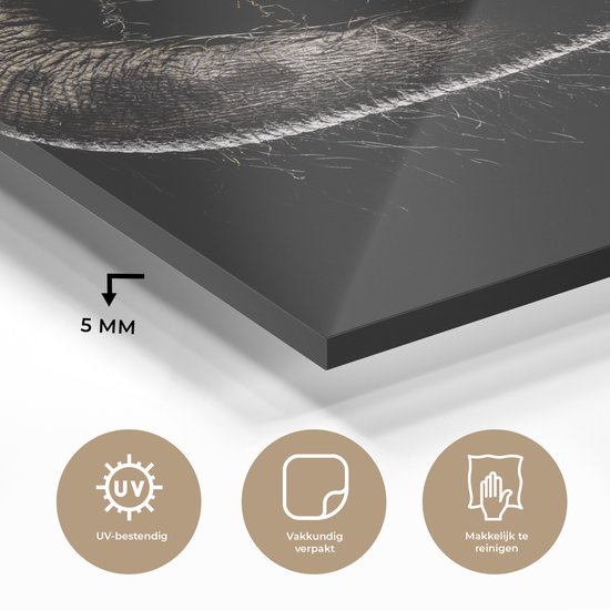 MuchoWow® Peinture sur verre 120x90 cm - Peinture sur verre acrylique - Éléphant - Animaux - Zwart - Nature - Photo sur verre - Peintures