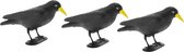 Raaf/kraai - 3x - zwart - Halloween decoratie dieren - 35 cm