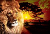 Fotobehang Lion Sunset Africa Nature Tree | XL - 208cm x 146cm | 130g/m2 Vlies