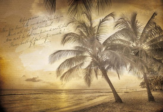 Papier peint de palmiers sur une plage au coucher du soleil, tons sépia, avec du texte ancien.