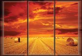 Fotobehang Field Gold Pasture  | XXXL - 416cm x 254cm | 130g/m2 Vlies