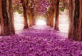 Fotobehang Flowers Tree Path Pink | XXL - 206cm x 275cm | 130g/m2 Vlies