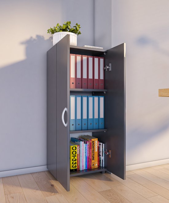 Grijze archiefkast met open deuren. Bovenste plank met rode mappen, middelste plank met blauwe mappen, onderste plank met boeken.
