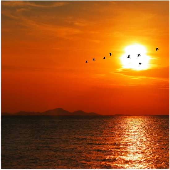 Poster (Mat) - Silhouet van Zwerm Vogels bij Zonsondergang boven de Zee - 100x100 cm Foto op Posterpapier met een Matte look