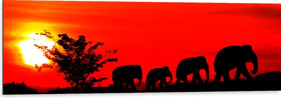 Dibond - Silhouet van Familie Olifanten Lopend over Afrikaans Landschap - 120x40 cm Foto op Aluminium (Met Ophangsysteem)