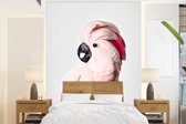 Kaketoe - Roze - Dieren - Natuur - Behangpapier