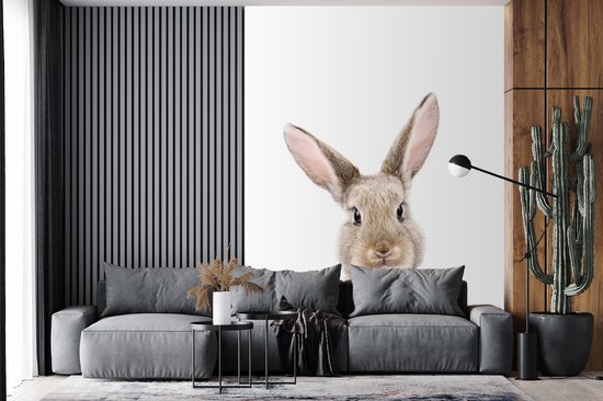 Konijn - Dieren - Natuur - Bruin - Behangpapier