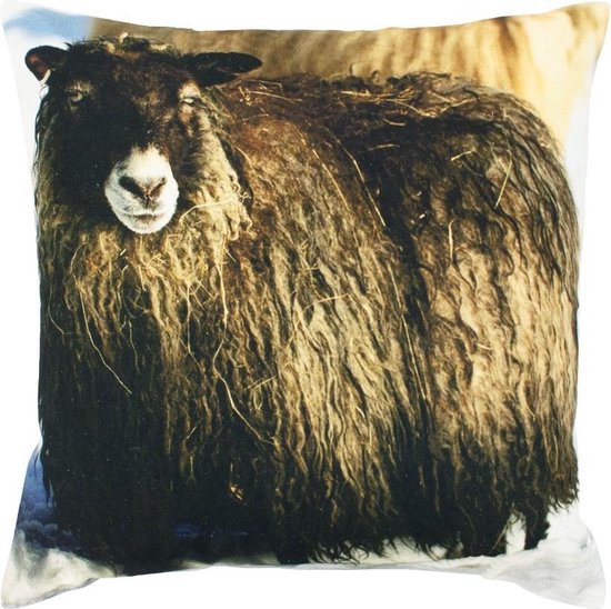 coussin toile mouton islandais 50x50cm
