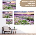 Een tuinposter van een lavendelveld bij zonsondergang, getoond in verschillende formaten.