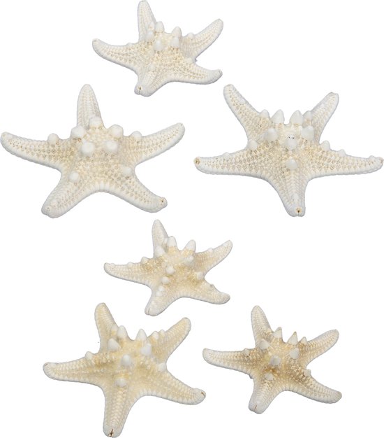 Othmar Decorations Decoratie zeesterren mix - 40x stuks - 5-10 cm