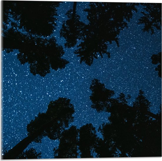 Acrylglas - Onderaanzicht van Silhouet van Bomen onder Heldere Sterrenhemel - 50x50 cm Foto op Acrylglas (Met Ophangsysteem)
