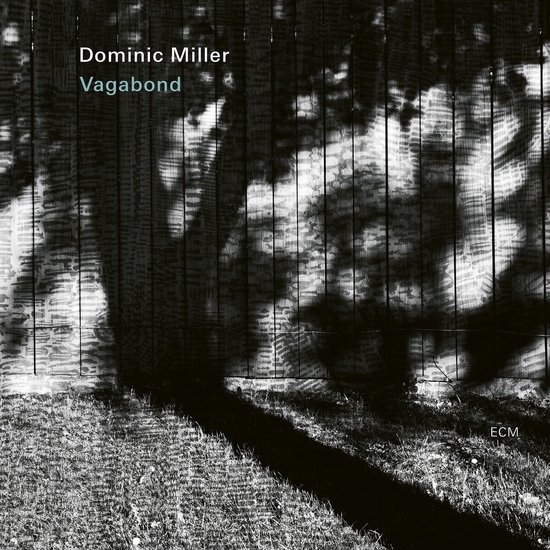 Albumhoes: Dominic Miller Vagabond. Schaduwen van bomen op een houten schutting.