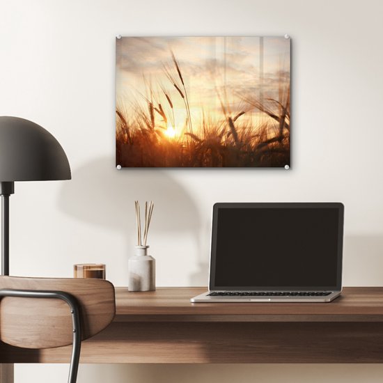 MuchoWow - Peinture sur verre - Photo sur verre - Roseau - Herbe - Soleil - Nature - 40x30 cm - Image sur verre - Décoration murale - Peinture nature - Verre acrylique